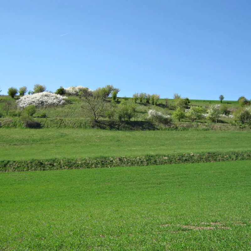 Landschaftsplan