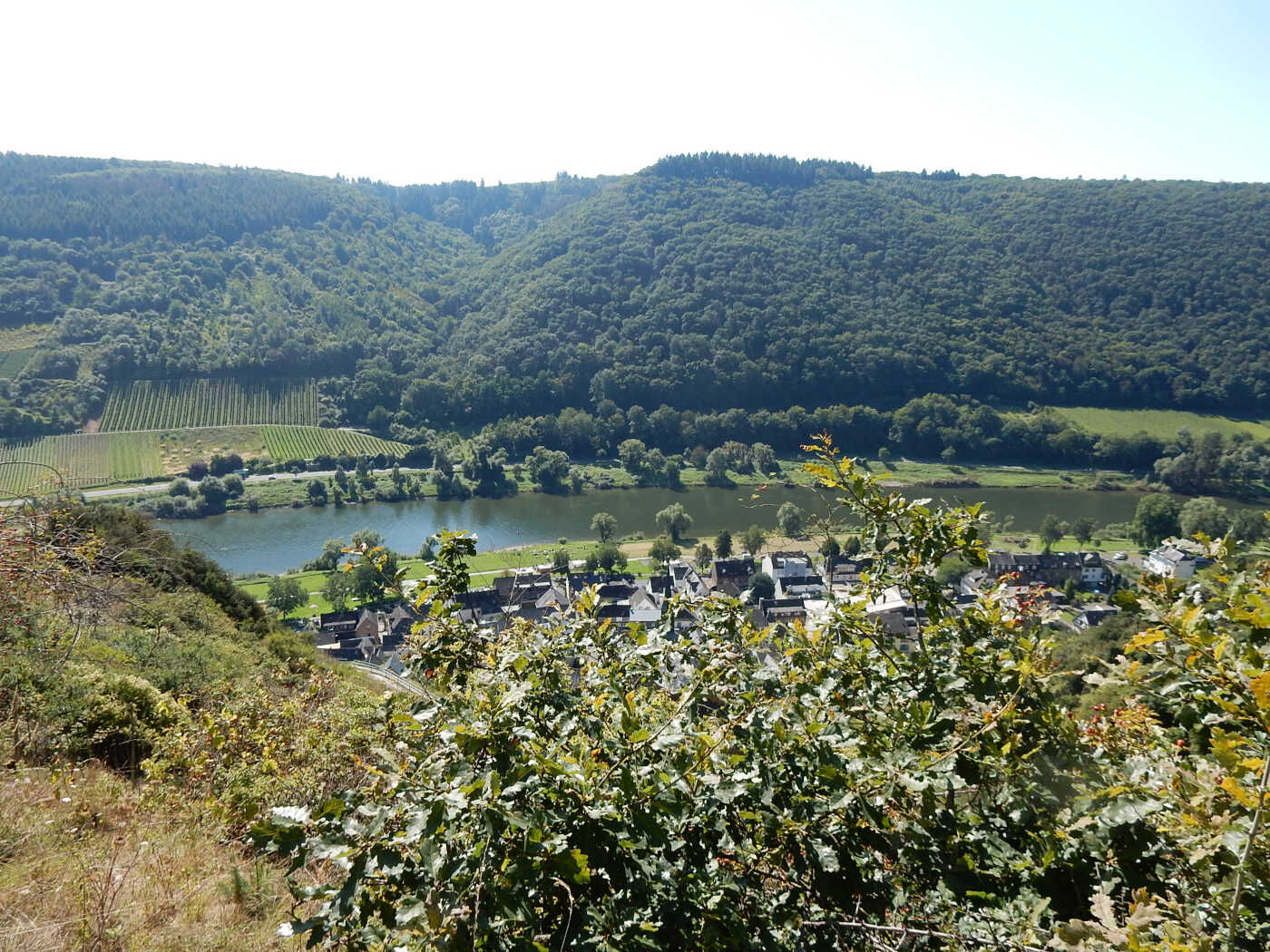 Landschaftsplan Cochem2.JPG