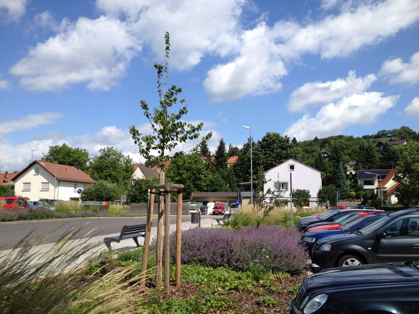 Straße und Parkplätze mit bepflanzung