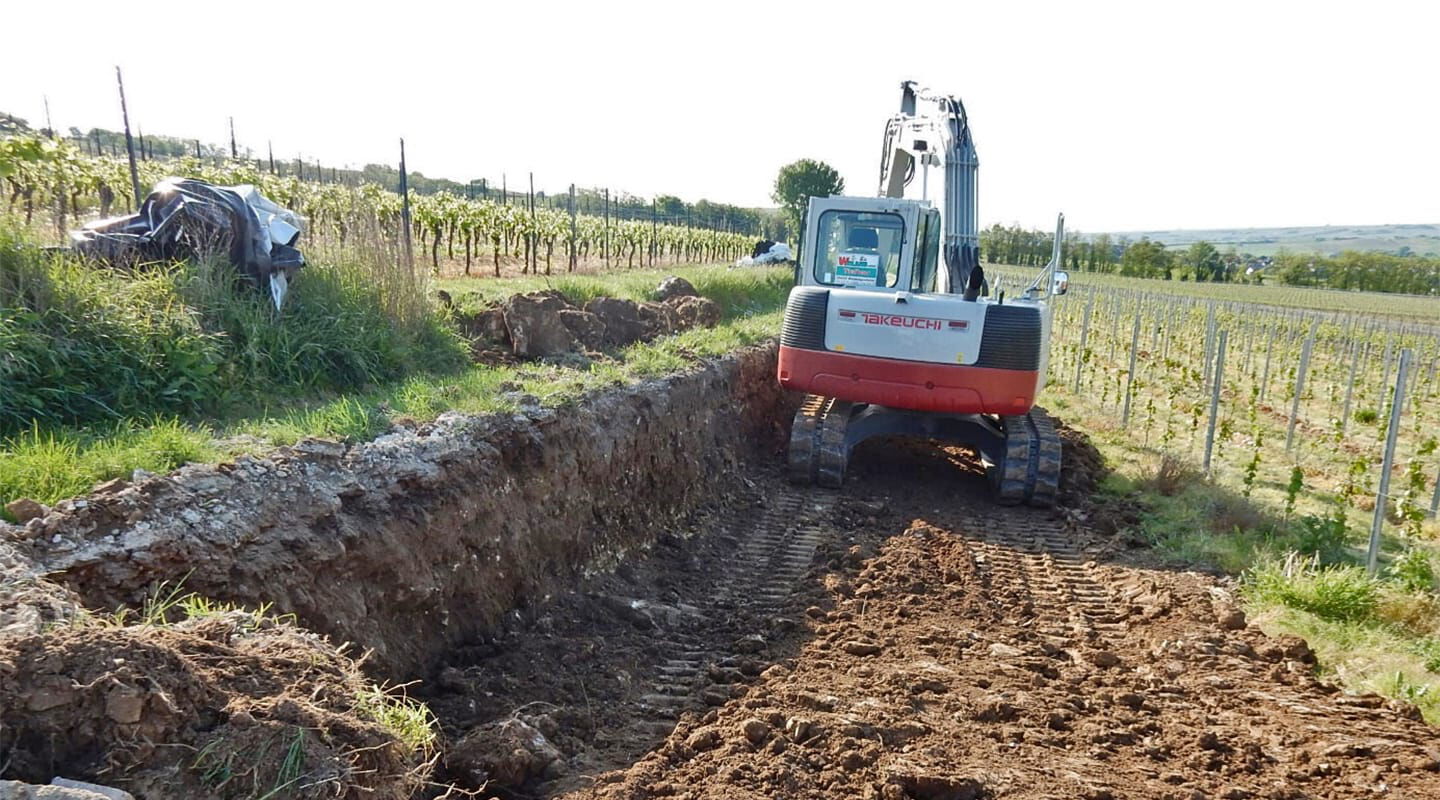 Trockenmauer artenschutzrechtlich geprüft