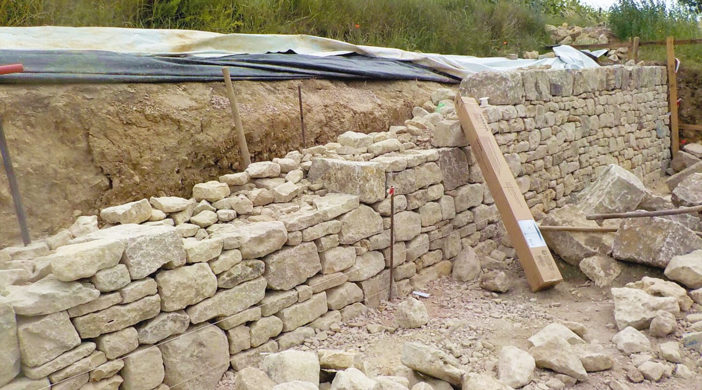 Artenschutz an Trockenmauern entwickeln