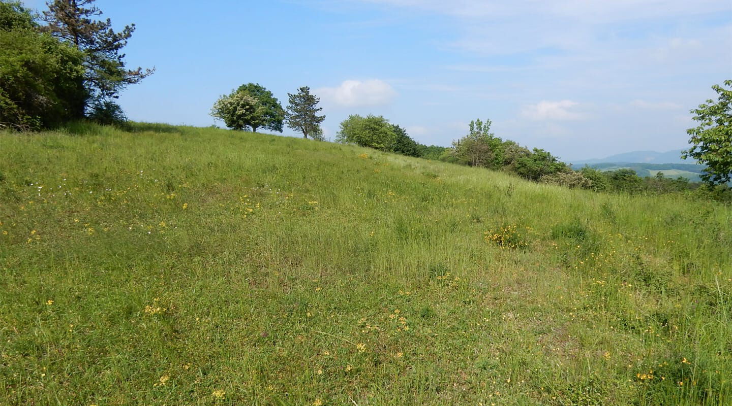 Biotopbetreuung für den Landkreis Kusel