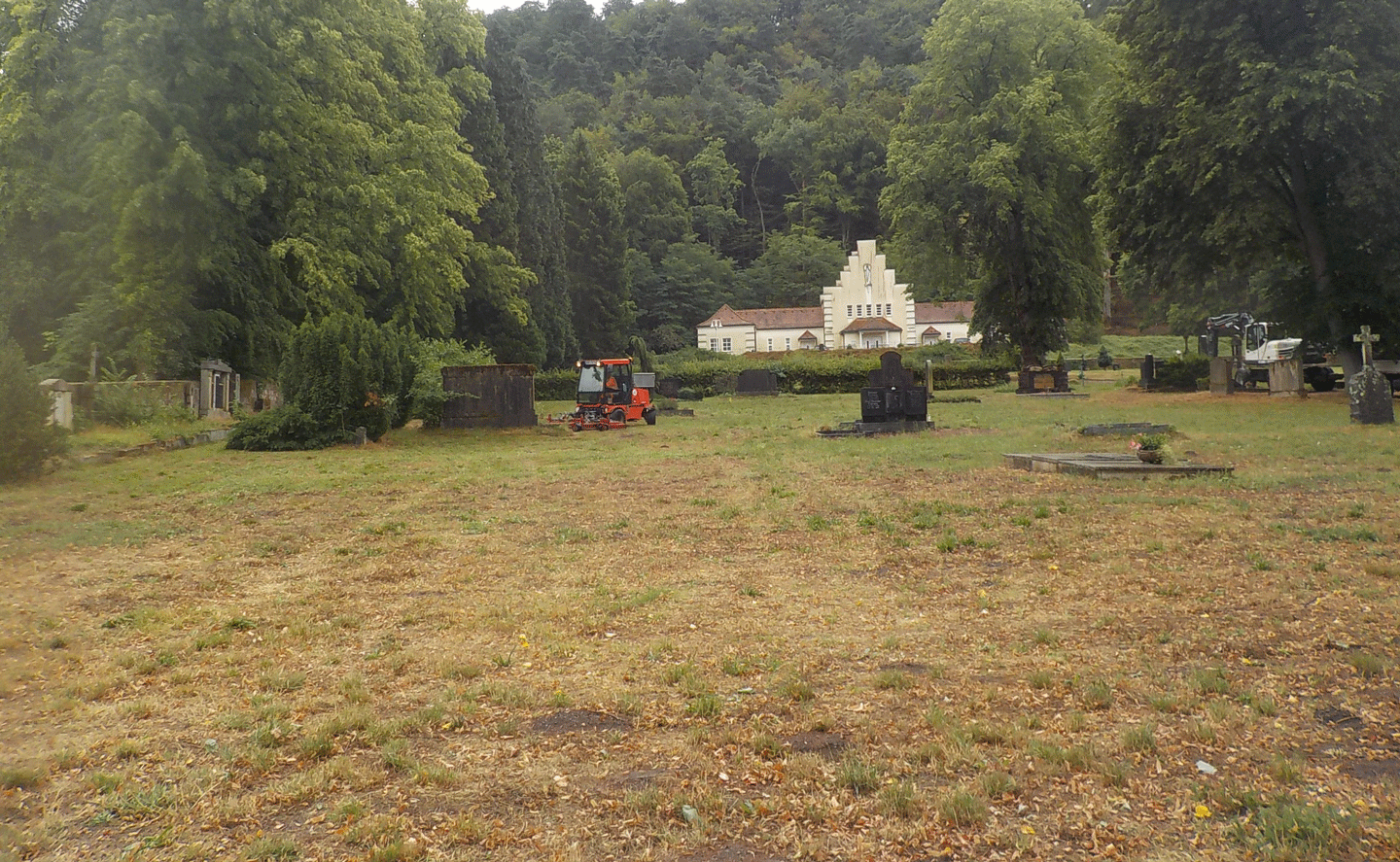 Große Friedhofswiese mit Bäumen und vereinzelten Gräbern